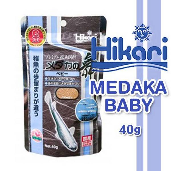 히카리 메다카 베이비 [40g] 치어용 파