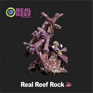 리얼 리프 브랜치 락 1kg Real Reef
