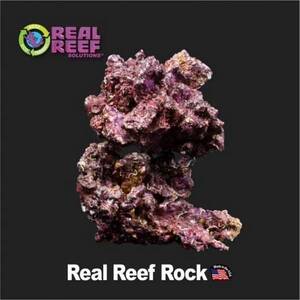 리얼 리프 락 1kg Real Reef