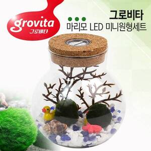 [특가] 그로비타 마리모 LED 미니원형세트