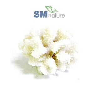 SM 인조 꽃산호 [흰색] 1491W