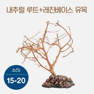 [특가] 내추럴 루트+레진베이스 유목(소) 15~20cm