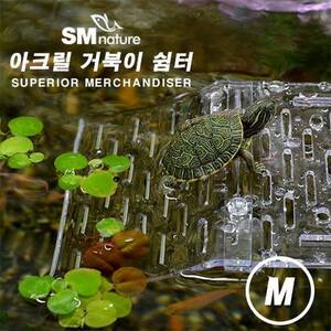 [특가] SM 아크릴 거북이 쉼터 [M]