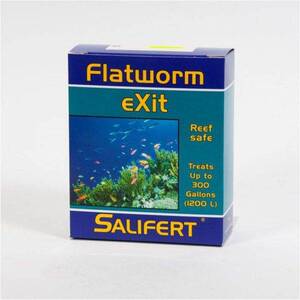 [특가] 셀리퍼트 Flatworm EXIT 플랫웜