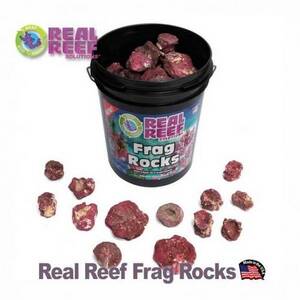 리얼 리프 프랙 락 - 약3.8kg (200개) Real Reef