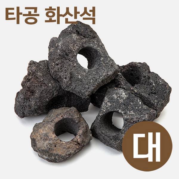 [특가] 타공 화산석(대) 8~11cm